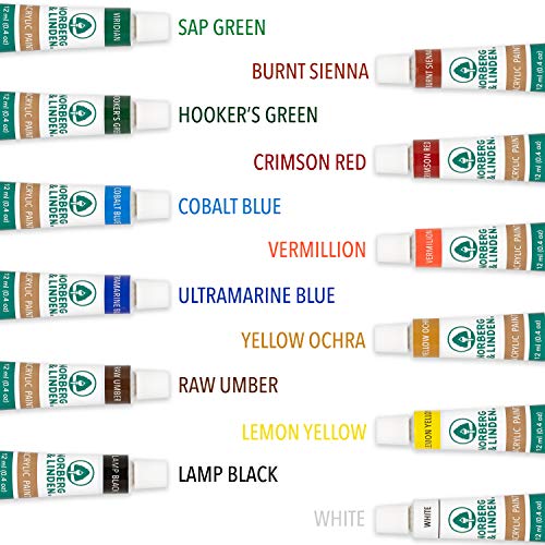 Norberg & Linden Acrylic Paint Set -12 Acrylic Paints, 6 Paint Brushes for Acrylic Painting, 3 Painting Canvas Panels - Premium Art Supplies for Adults Canvas Painting